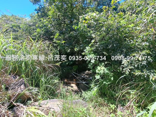 新北石門農地-9