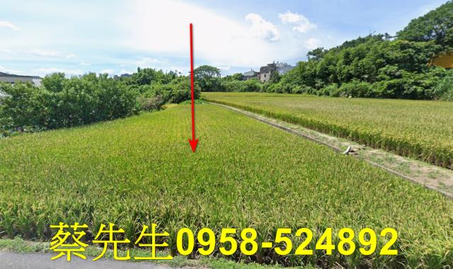楊梅農地拍賣-1