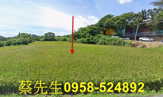 楊梅法拍農地-1