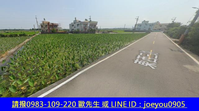 大安區農地法拍-10