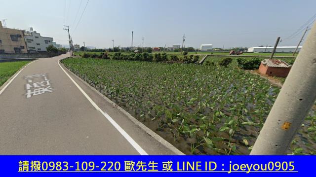 大安區農地法拍-12