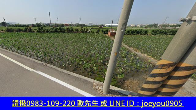 大安區農地法拍-5