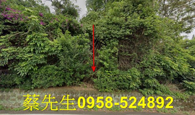 新埔法拍農地-1