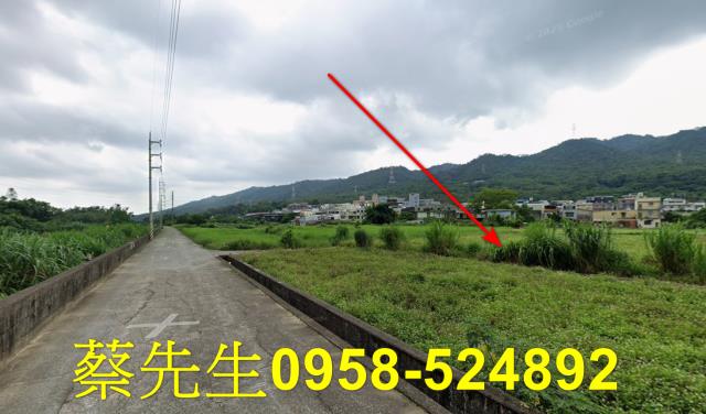 三義農地法拍-4