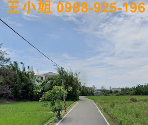 大園農地-1