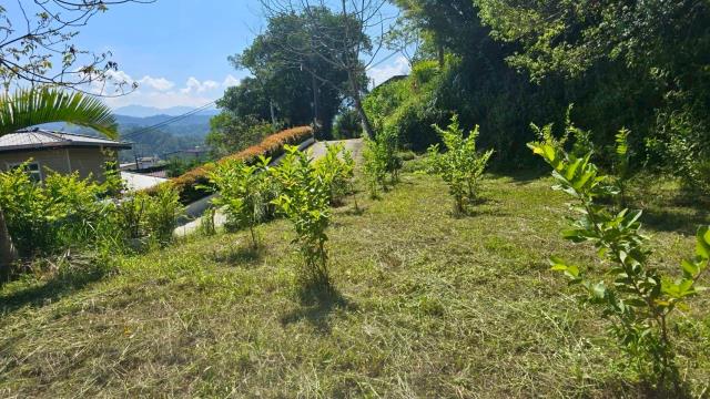 新竹橫山農地-1