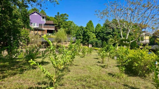 新竹橫山農地-3