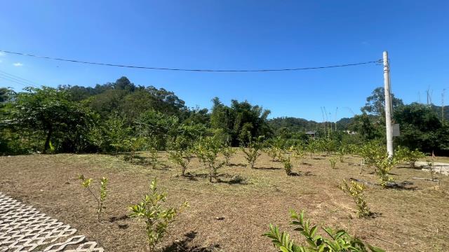 大溪農地-7