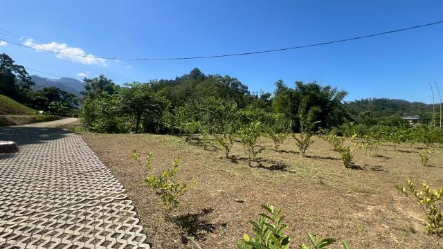 大溪農地-8