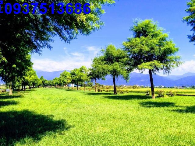 宜蘭農地-15