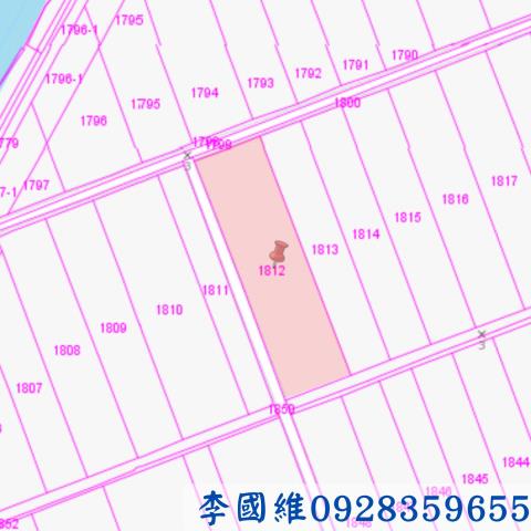 台南鹽水農地法拍-3