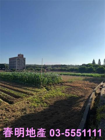 新豐農地-1