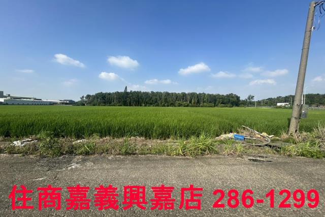 水上農地-4
