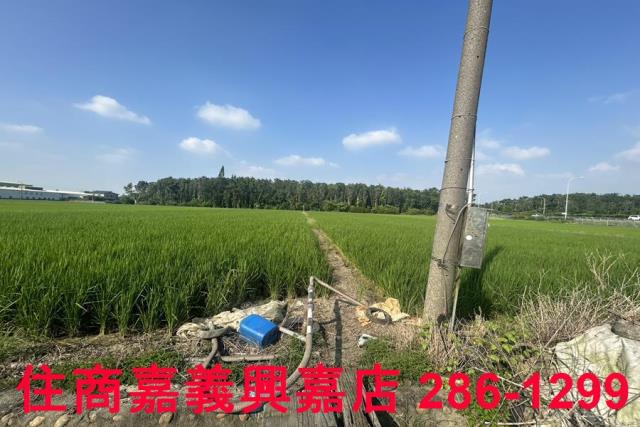 水上農地-5