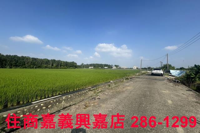 水上農地-6