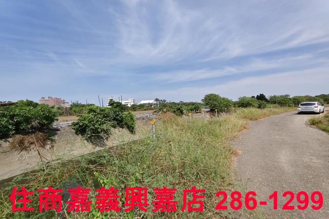 嘉義農地-1