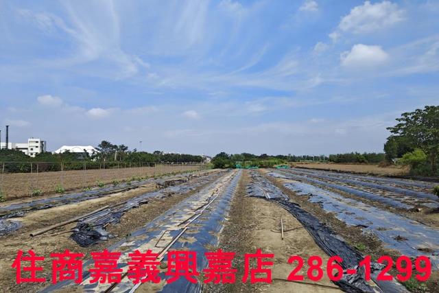 嘉義農地-4