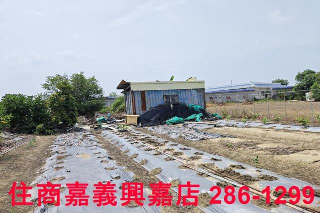 嘉義農地-5