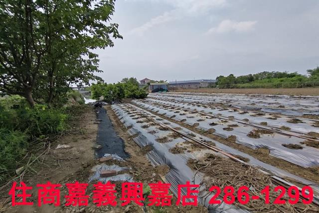 嘉義農地-7