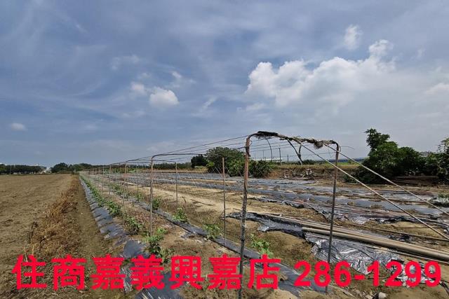 嘉義農地-8