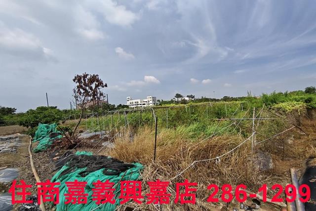 嘉義農地-9