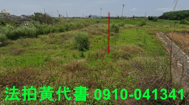 大安區法拍農地-9