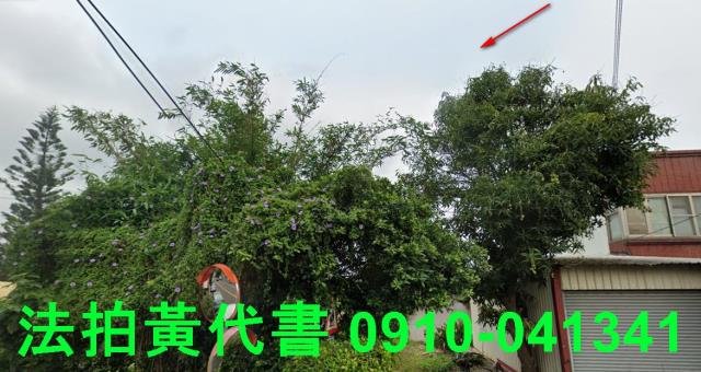 外埔農地法拍-11