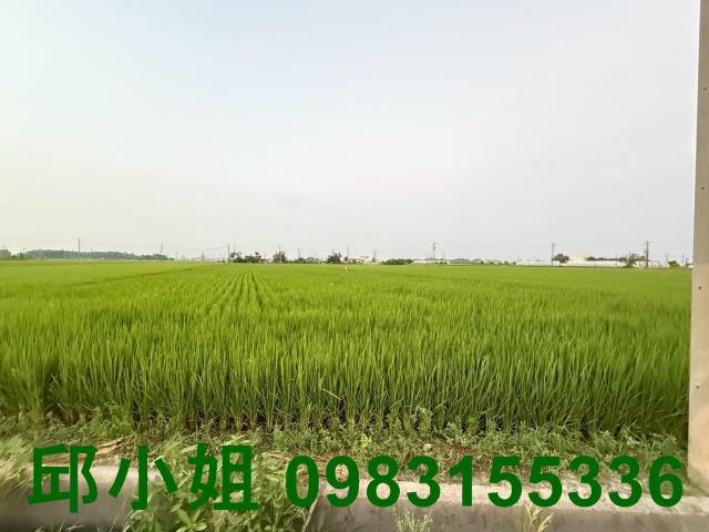 民雄農地-1