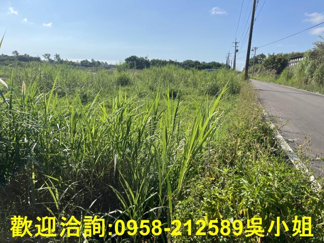 新竹農地-14