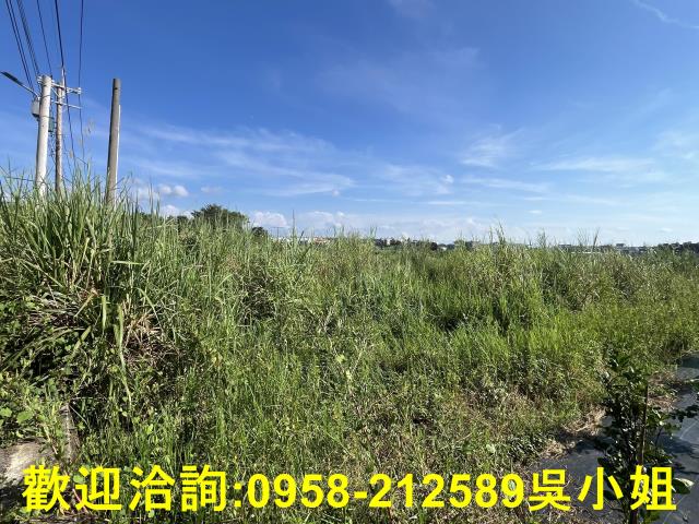 新竹農地-3