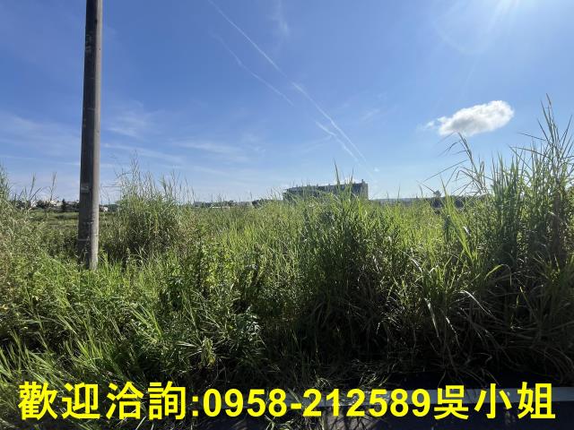新竹農地-4