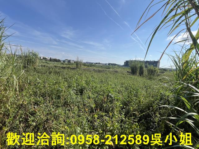 新竹農地-6