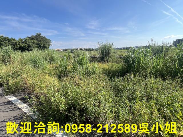 新竹農地-7