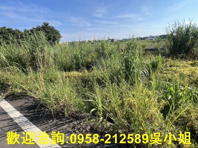 新竹農地-9