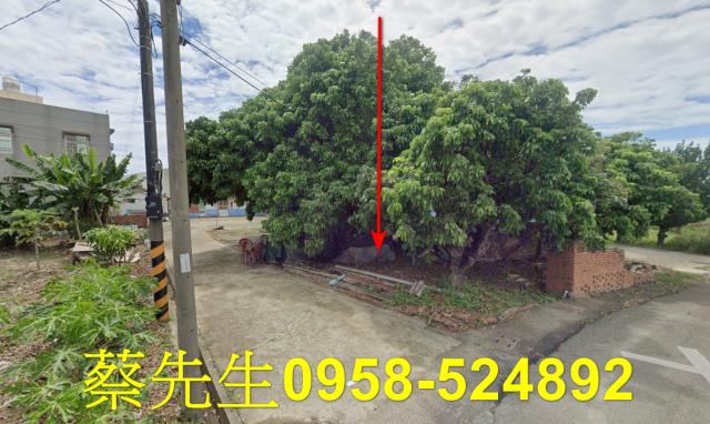 嘉義法拍建地-1