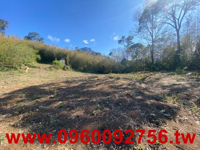 新竹尖石農地-3