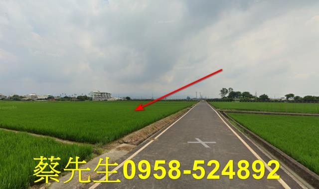 斗六農地拍賣-15