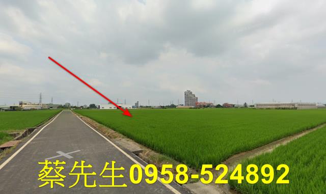 斗六農地拍賣-5