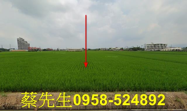 斗六農地拍賣-9