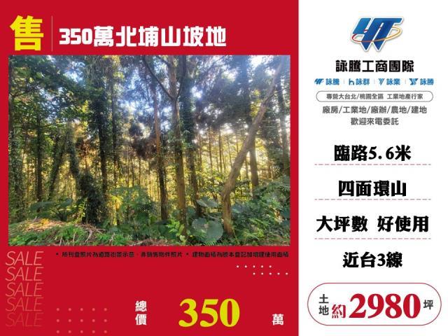 新竹北埔山坡地-1