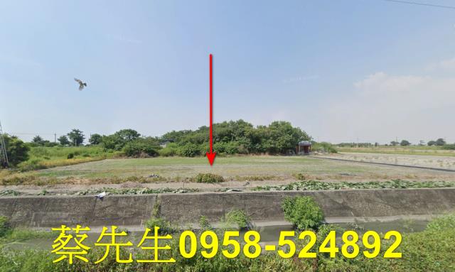 雲林水林農地法拍-1