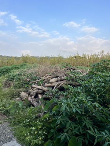 台中東勢農地-1