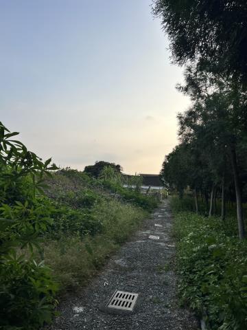 台中東勢農地-5