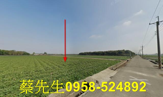 雲林水林法拍農地-12