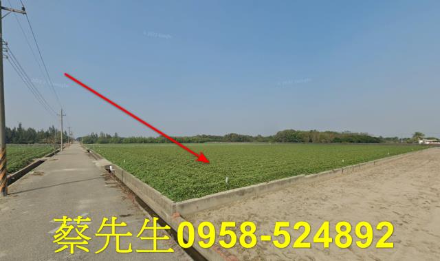 雲林水林法拍農地-14