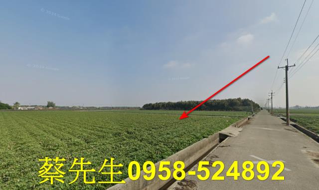 雲林水林法拍農地-5