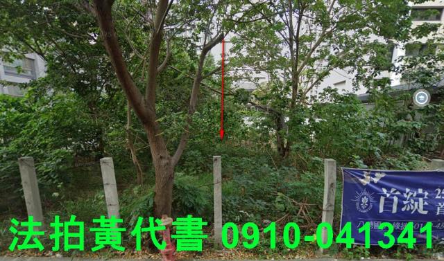 桃園區建地法拍-9