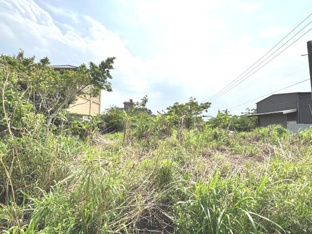 楊梅水利地-6
