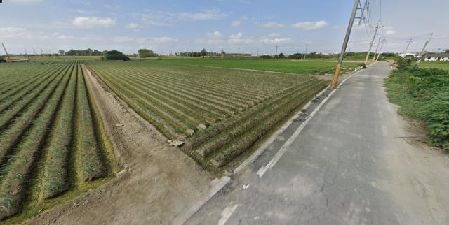 雲林法拍農地-13