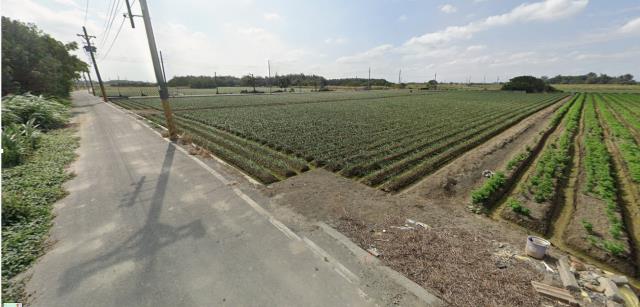 雲林法拍農地-4